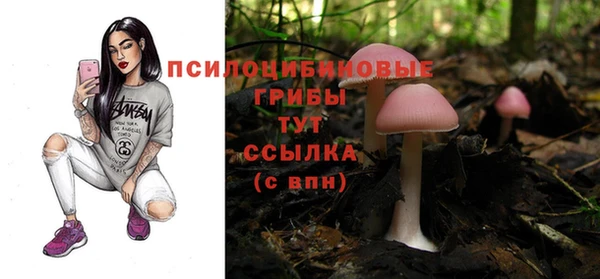 герыч Алзамай