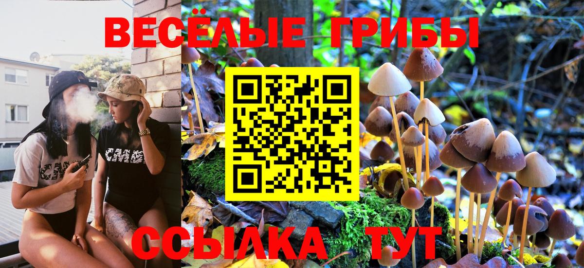 Галлюциногенные грибы Magic Shrooms Темрюк