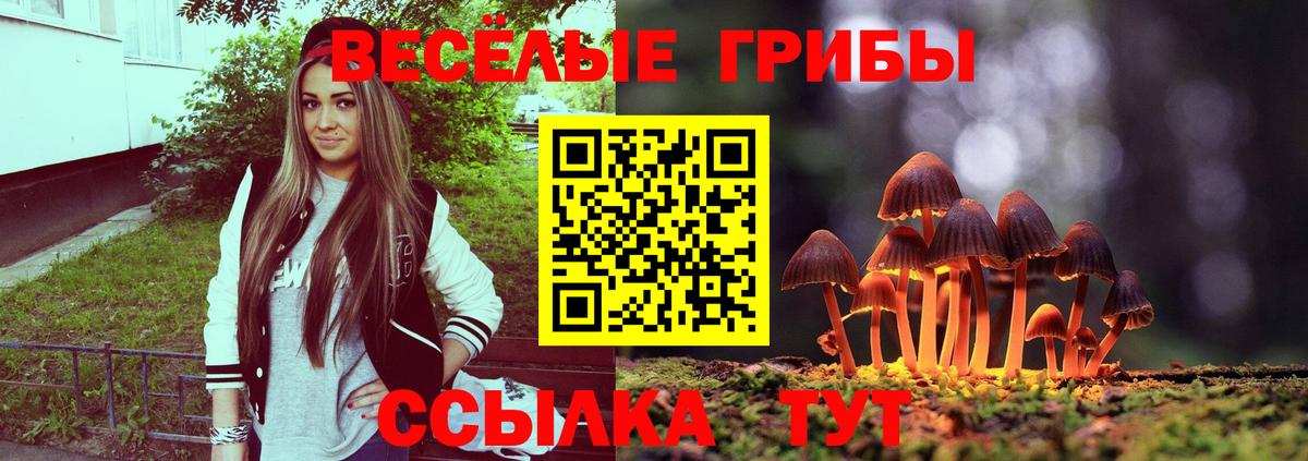 Темрюк  Галлюциногенные грибы MAGIC MUSHROOMS  продажа наркотиков  Вход с VPN 